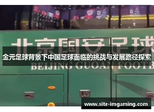 金元足球背景下中国足球面临的挑战与发展路径探索