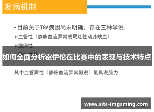如何全面分析霍伊伦在比赛中的表现与技术特点