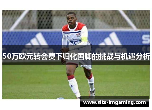 50万欧元转会费下归化国脚的挑战与机遇分析