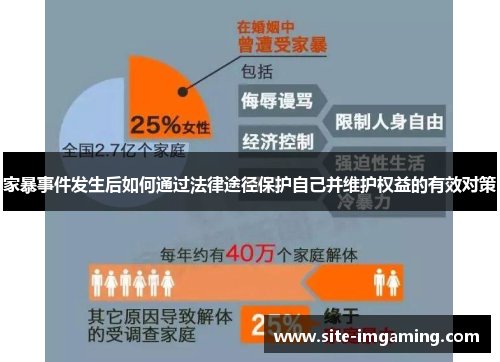 家暴事件发生后如何通过法律途径保护自己并维护权益的有效对策