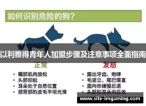 以利雅得青年人加盟步骤及注意事项全面指南