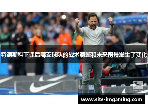 特德斯科下课后哪支球队的战术调整和未来前景发生了变化