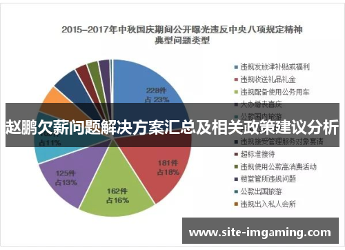 赵鹏欠薪问题解决方案汇总及相关政策建议分析
