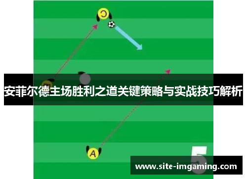 安菲尔德主场胜利之道关键策略与实战技巧解析